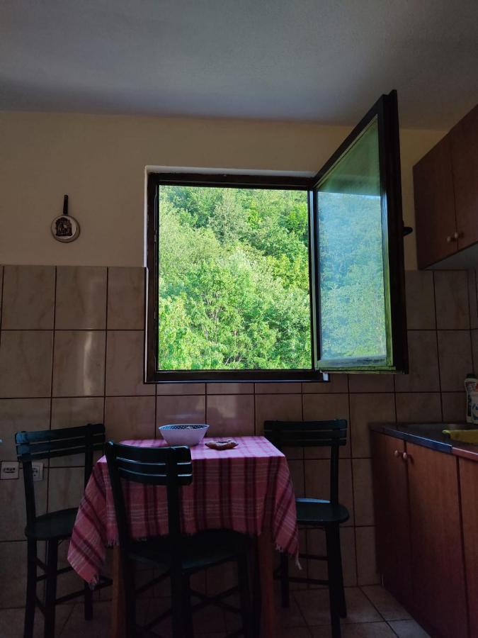 Apartmani Jana Bijelo Polje Extérieur photo