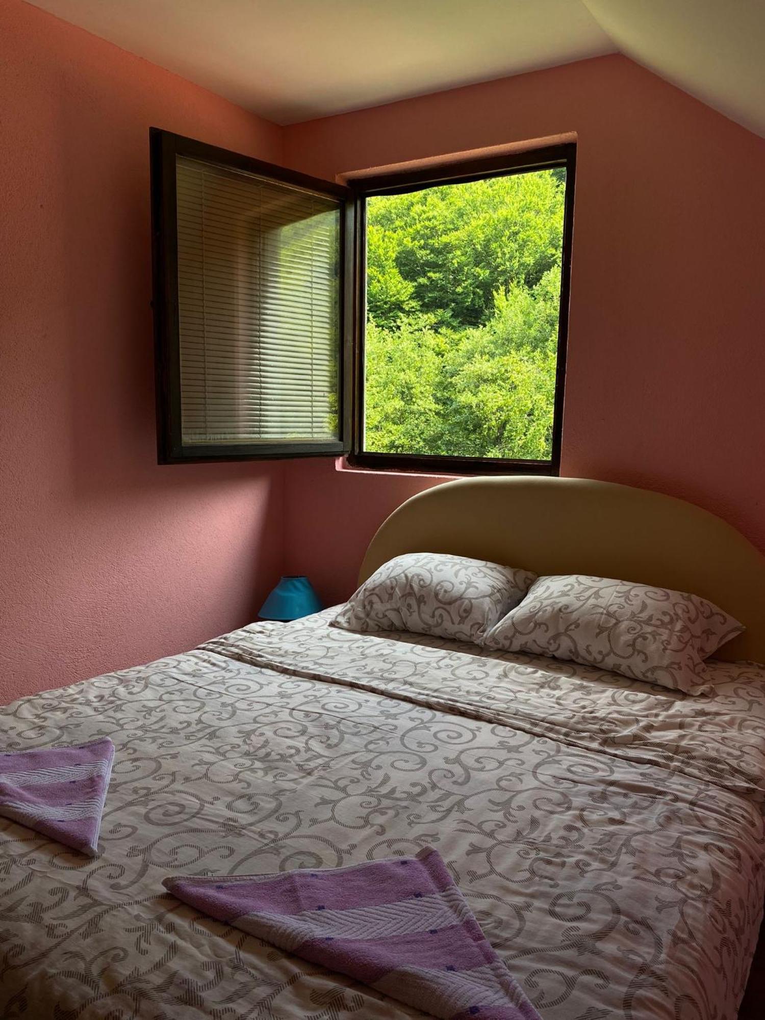 Apartmani Jana Bijelo Polje Extérieur photo